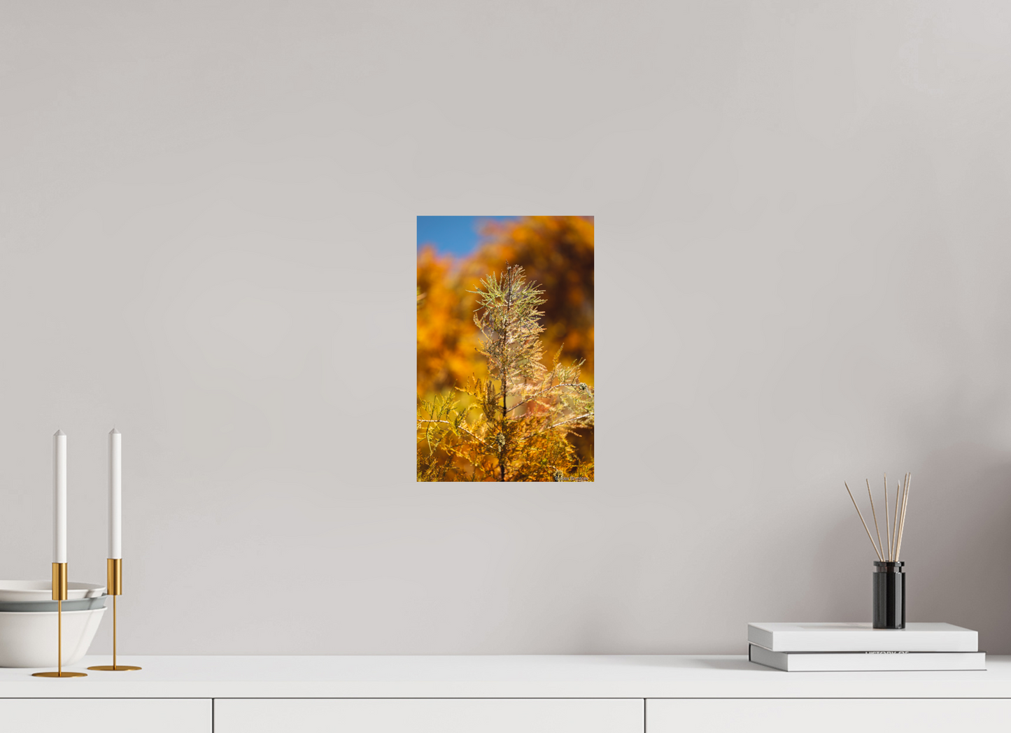 Autumn Glory Nature Print on Premium Paper Available in Multiple Sizes