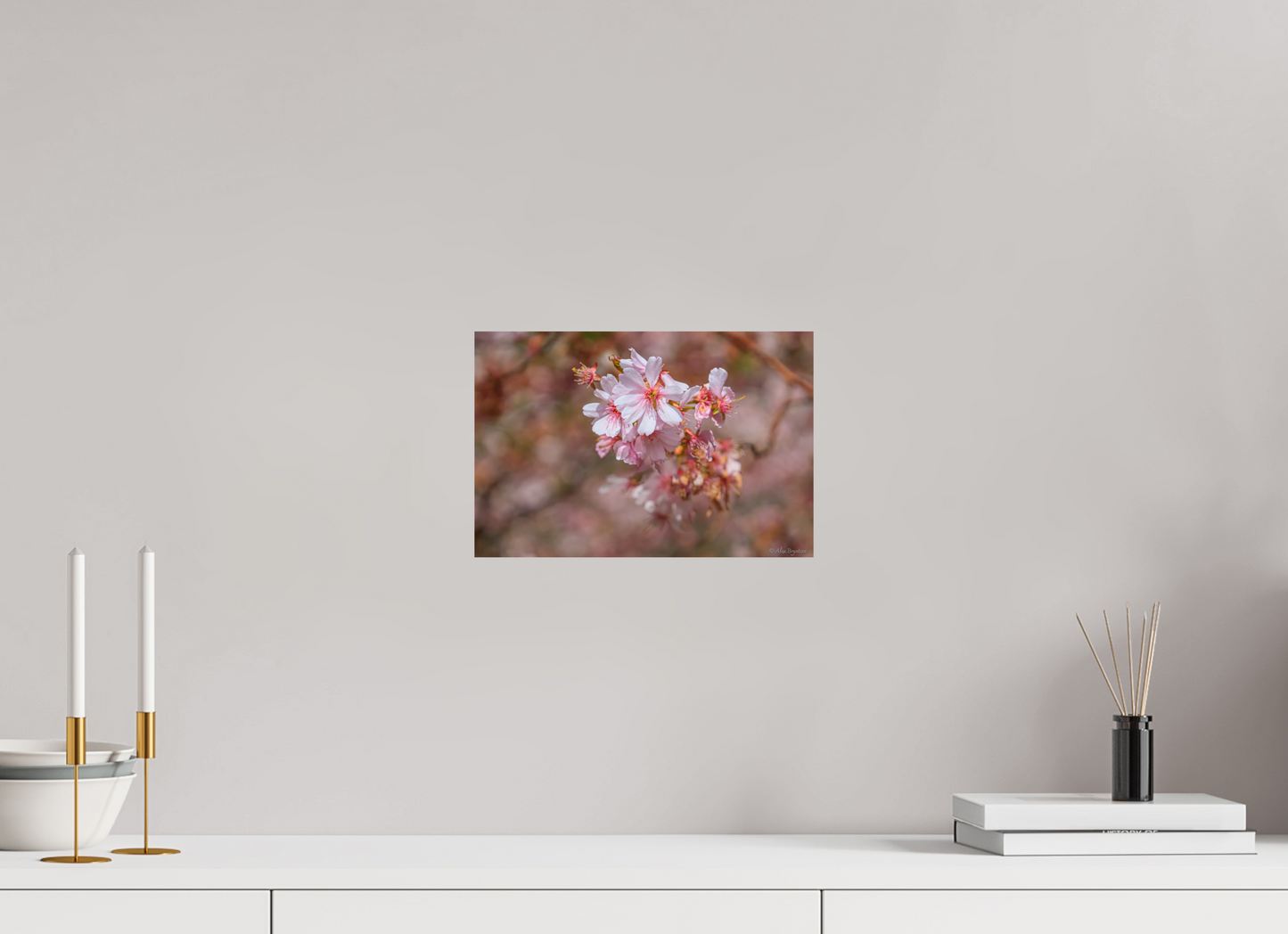Breathtaking Cherry Blossom Art Print - Premium Quality