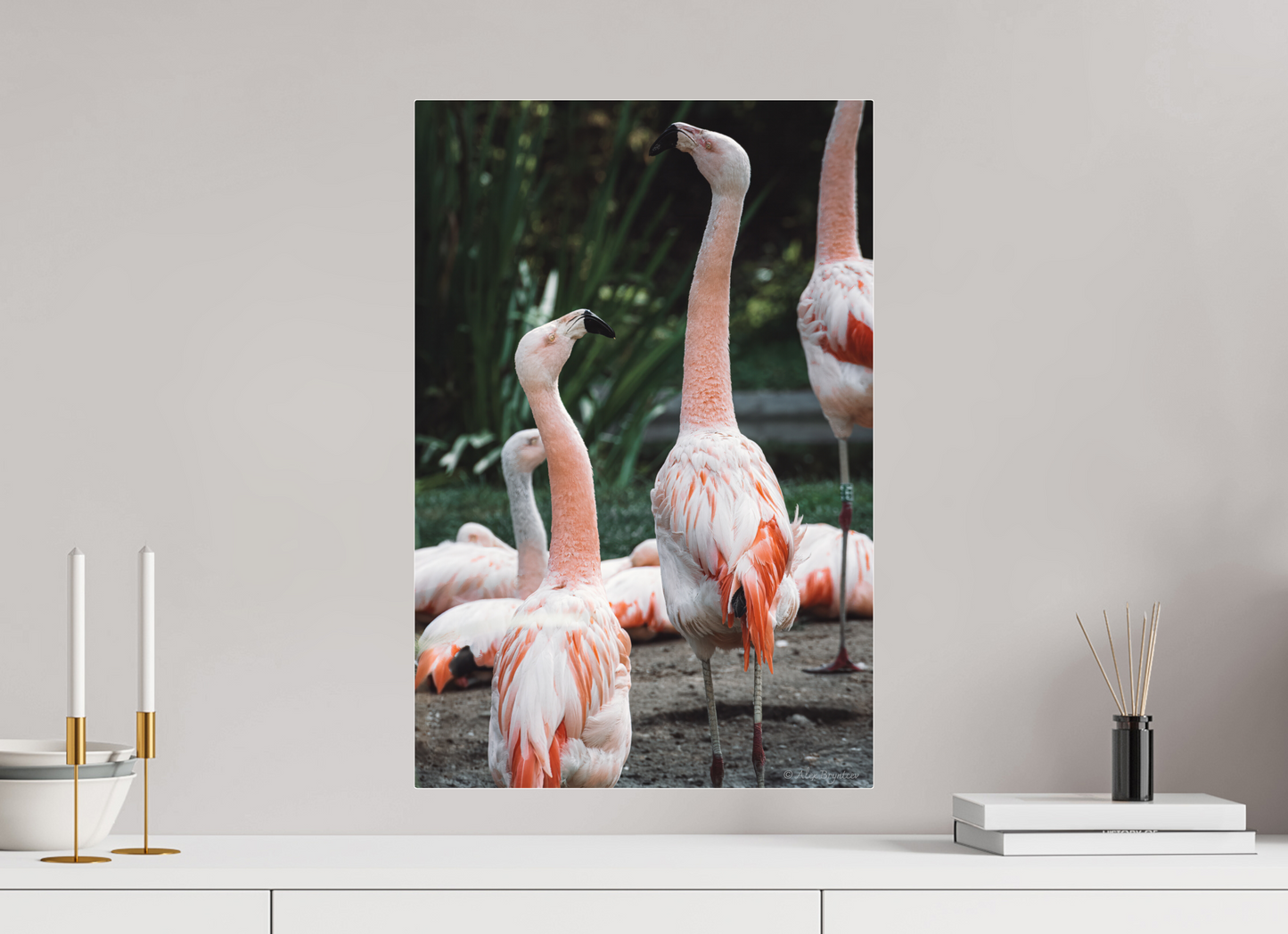 Graceful Flamingo Dance Art Print Wall Decor Vibrant Nature Photography