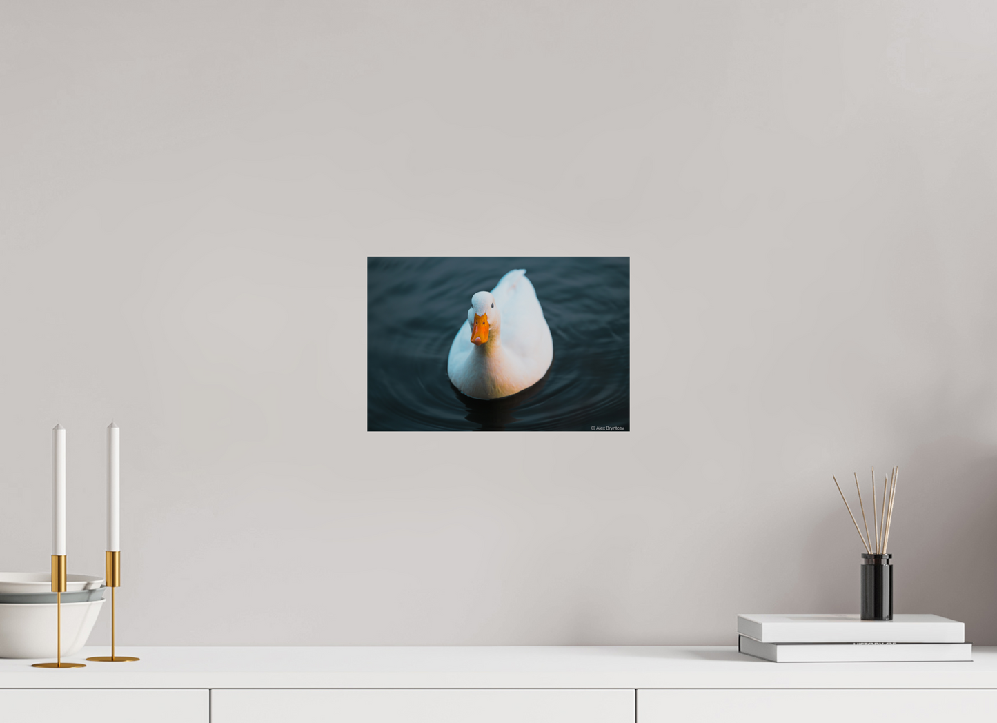 Graceful White Duck Print Wall Art – Nature Photography on Premium Paper
