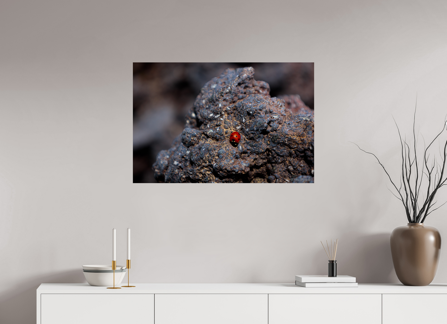 Vibrant Ladybug on Rocky Terrain Fine Art Print Multiple Sizes Available