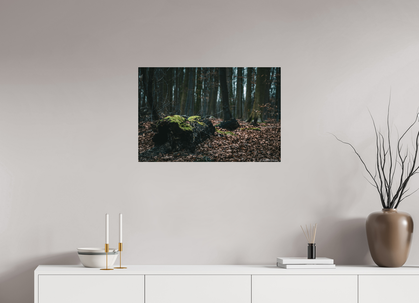 Enchanting Forest Floor Print Woodland Photography Art Wall Decor