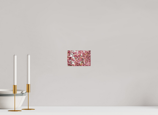 Captivating Cherry Blossom Print, Premium Art, Multiple Sizes Available