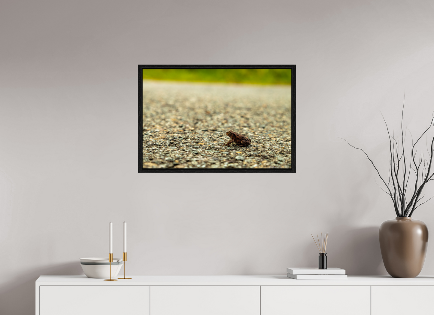 Captivating Close-Up of Tiny Frog on a Journey Fine Art Print