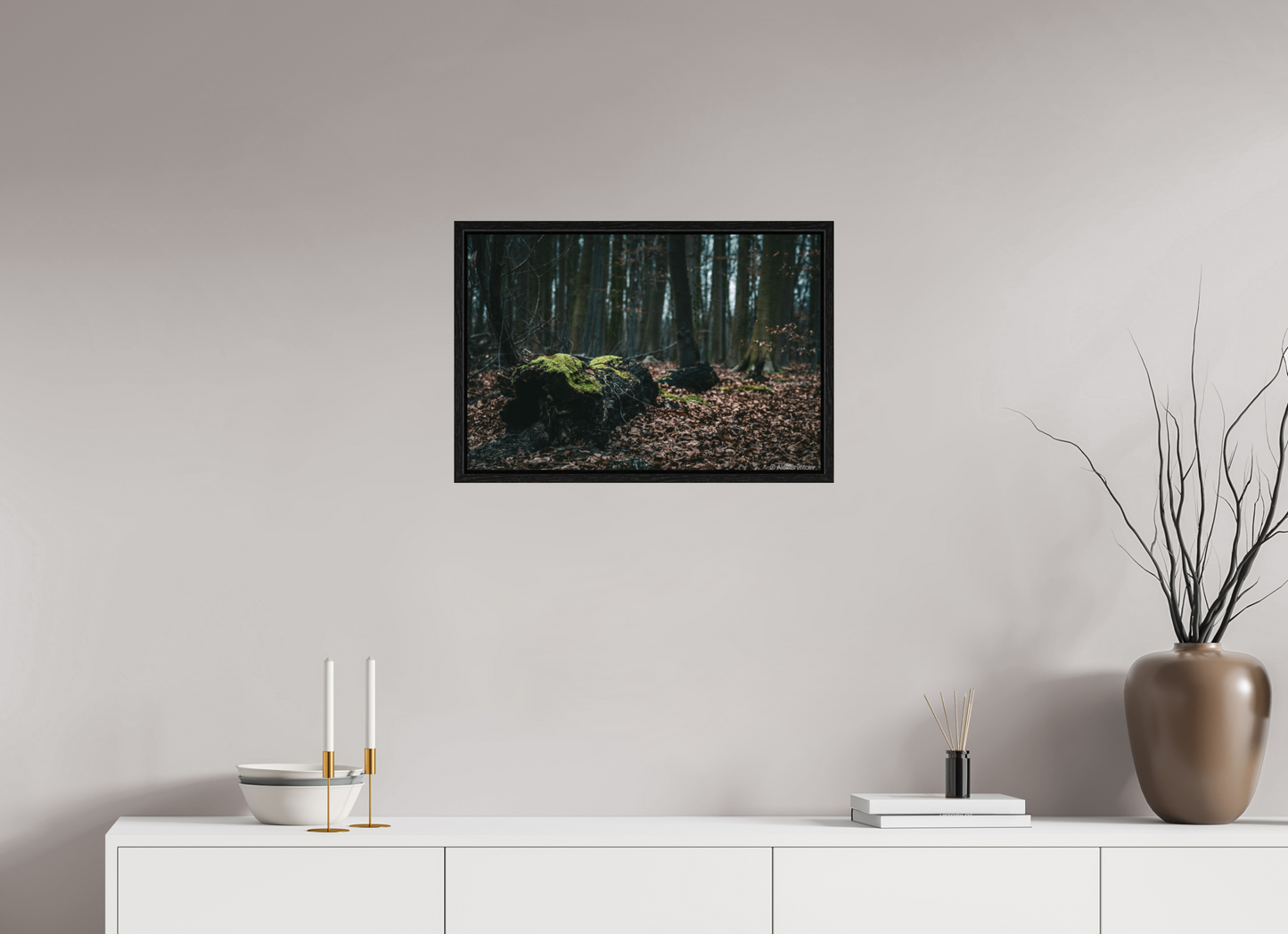 Enchanting Forest Floor Print Woodland Photography Art Wall Decor