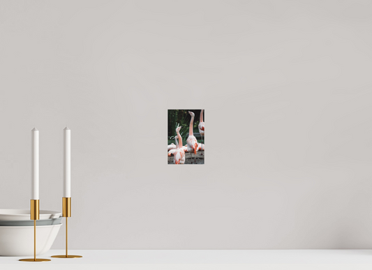 Graceful Flamingo Dance Art Print Wall Decor Vibrant Nature Photography