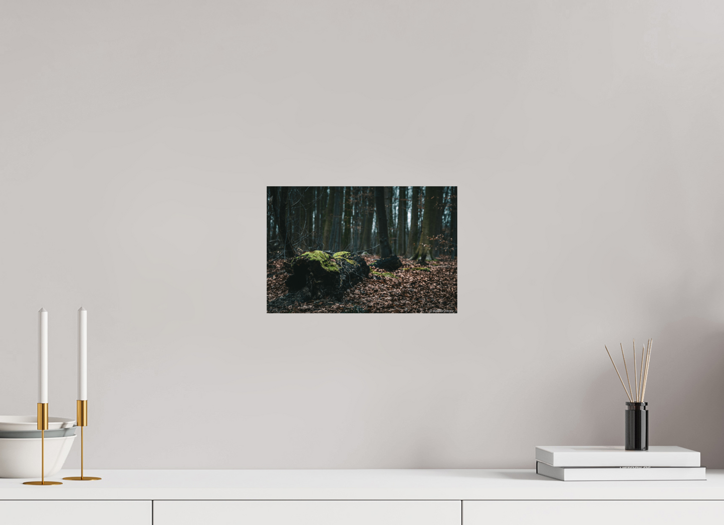 Enchanting Forest Floor Print Woodland Photography Art Wall Decor