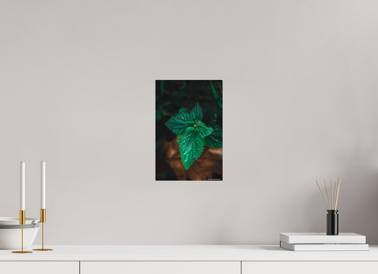Captivating Green Leaf Print Nature Inspired Wall Art on Premium Paper