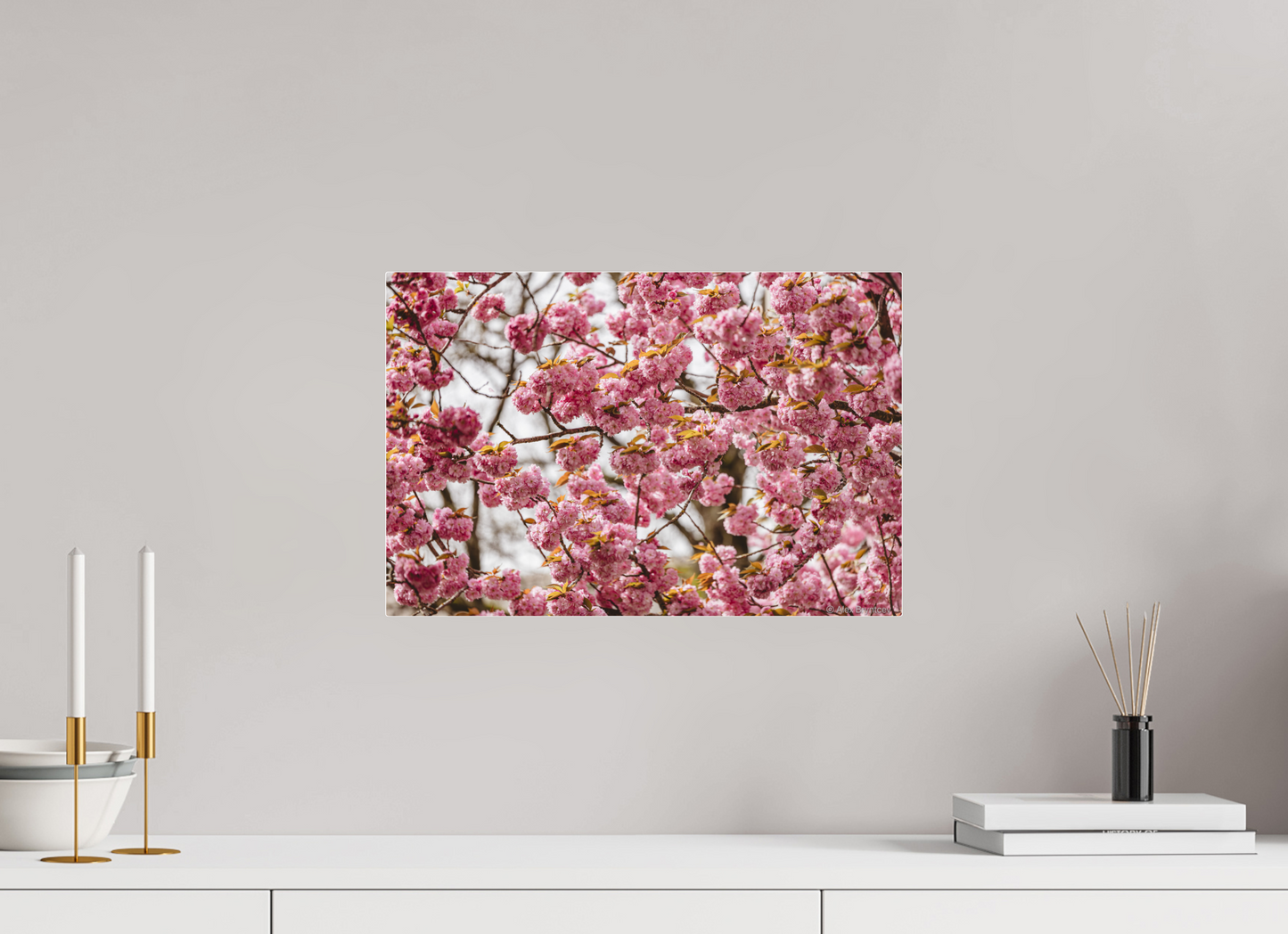 Captivating Cherry Blossom Print, Premium Art, Multiple Sizes Available