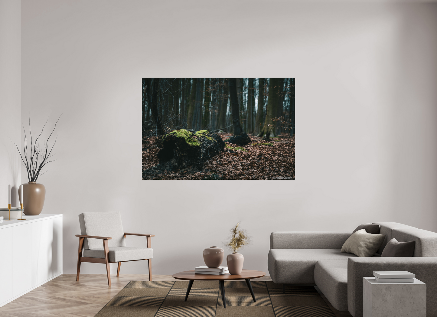 Enchanting Forest Floor Print Woodland Photography Art Wall Decor