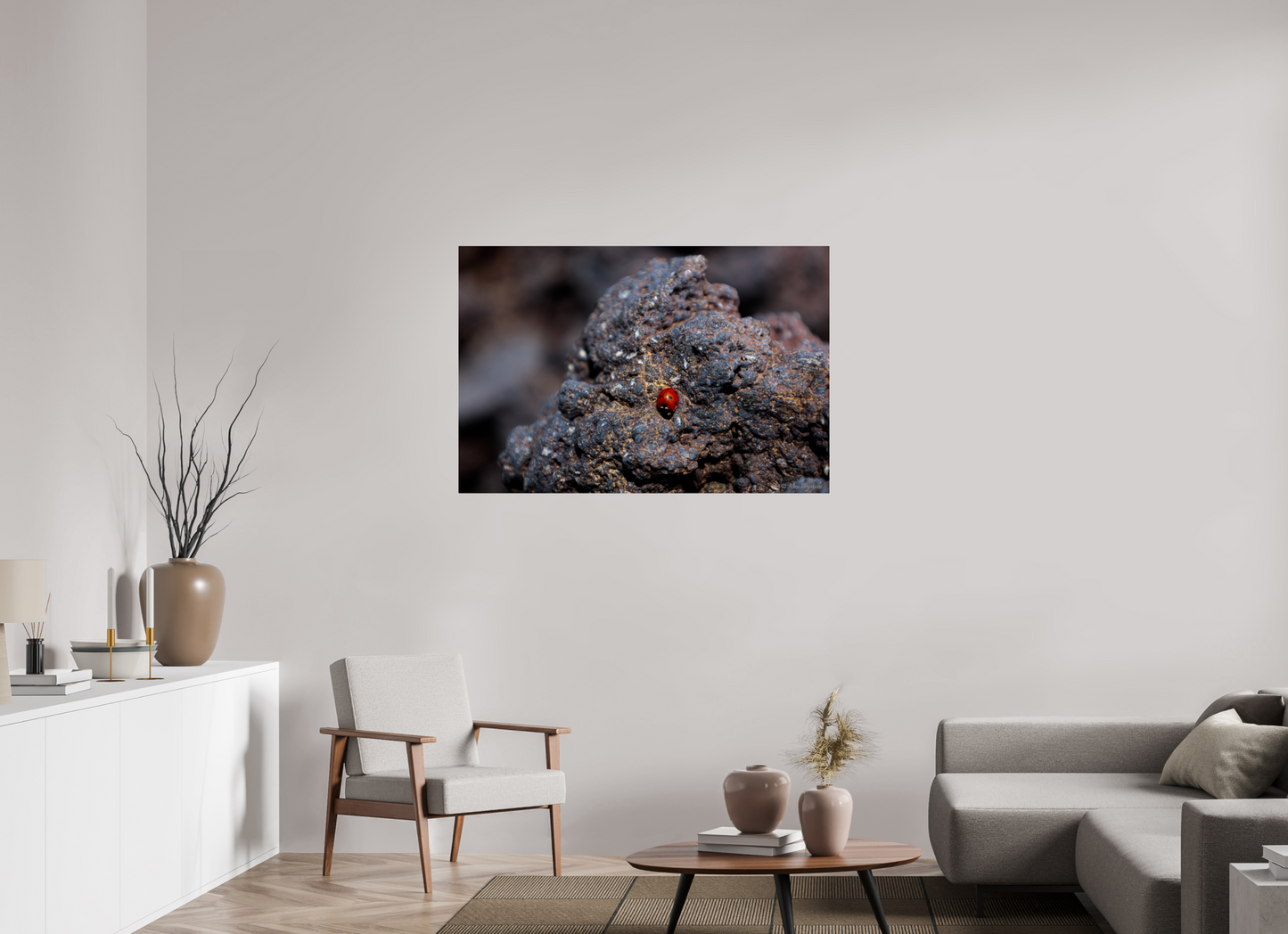 Vibrant Ladybug on Rocky Terrain Fine Art Print Multiple Sizes Available