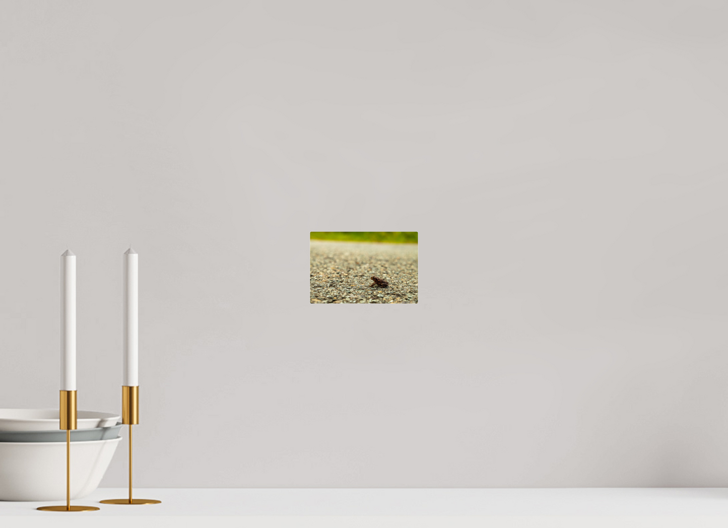 Captivating Close-Up of Tiny Frog on a Journey Fine Art Print