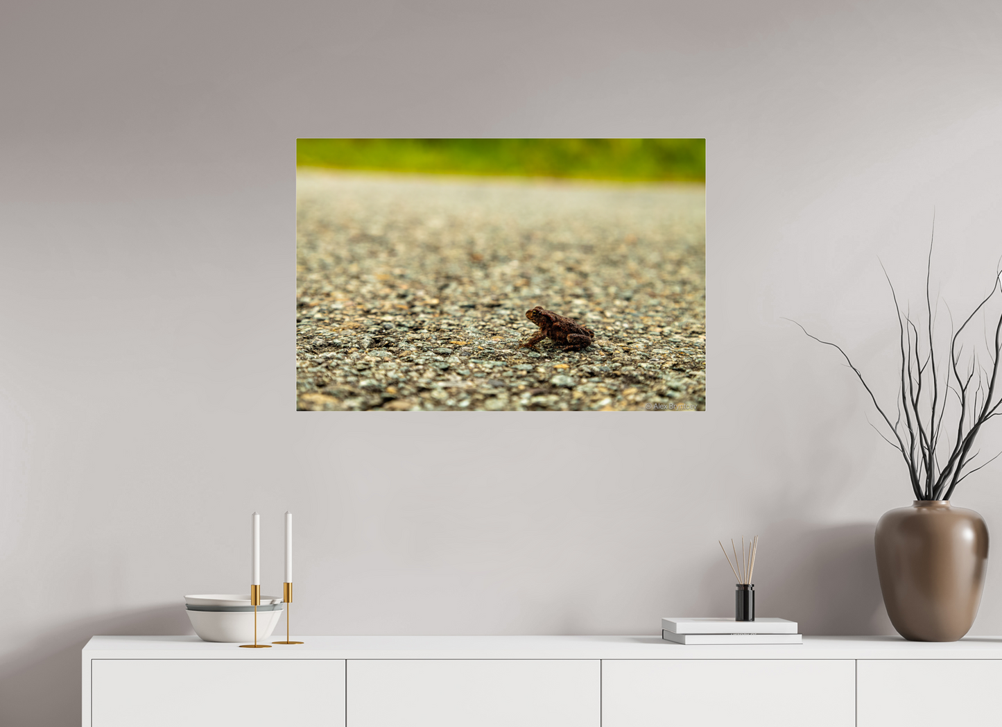 Captivating Close-Up of Tiny Frog on a Journey Fine Art Print