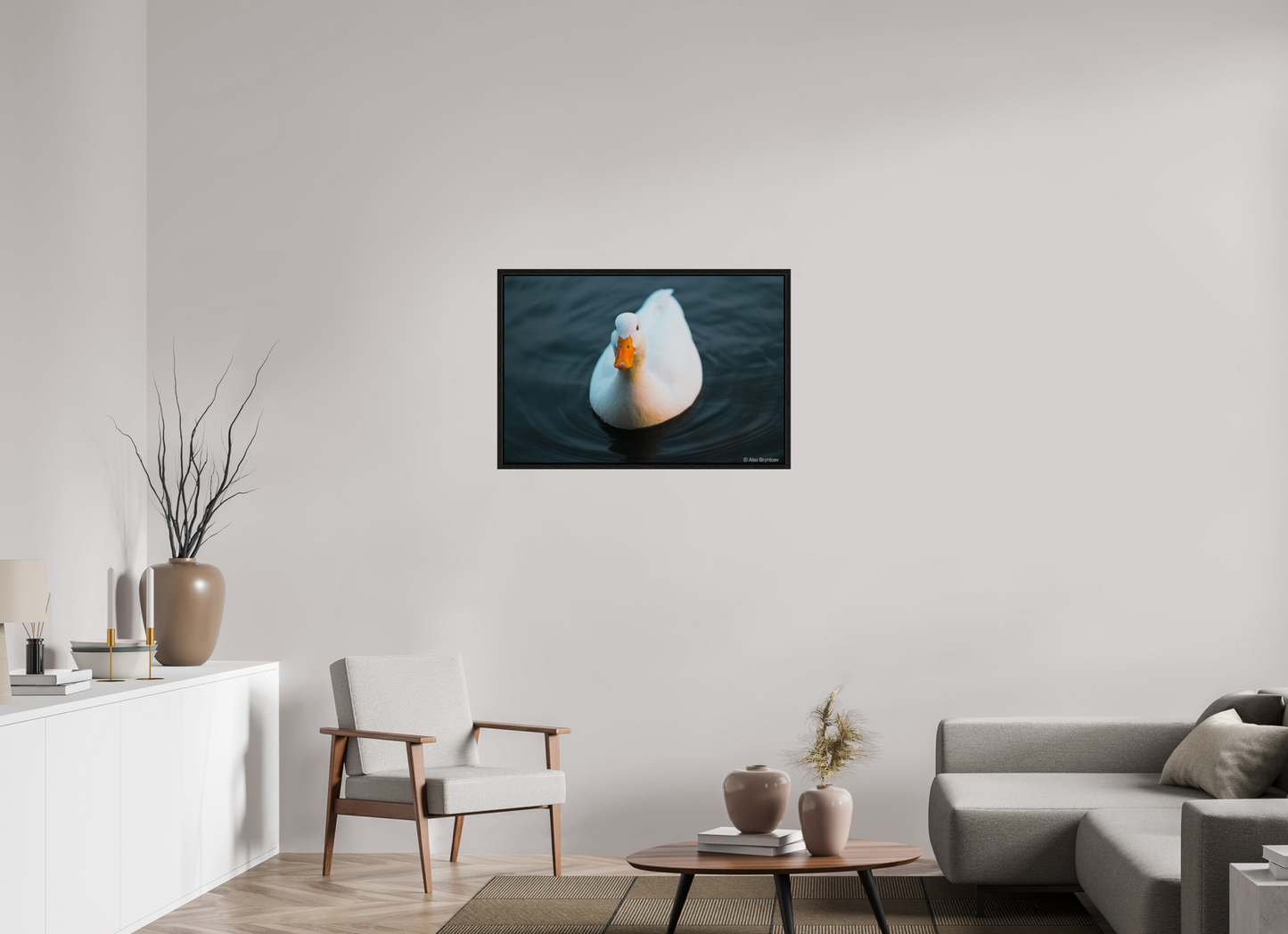 Graceful White Duck Print Wall Art – Nature Photography on Premium Paper