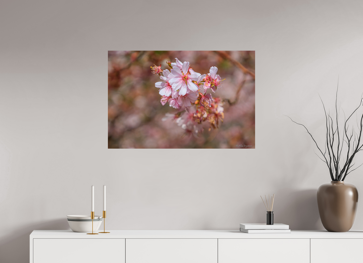 Breathtaking Cherry Blossom Art Print - Premium Quality