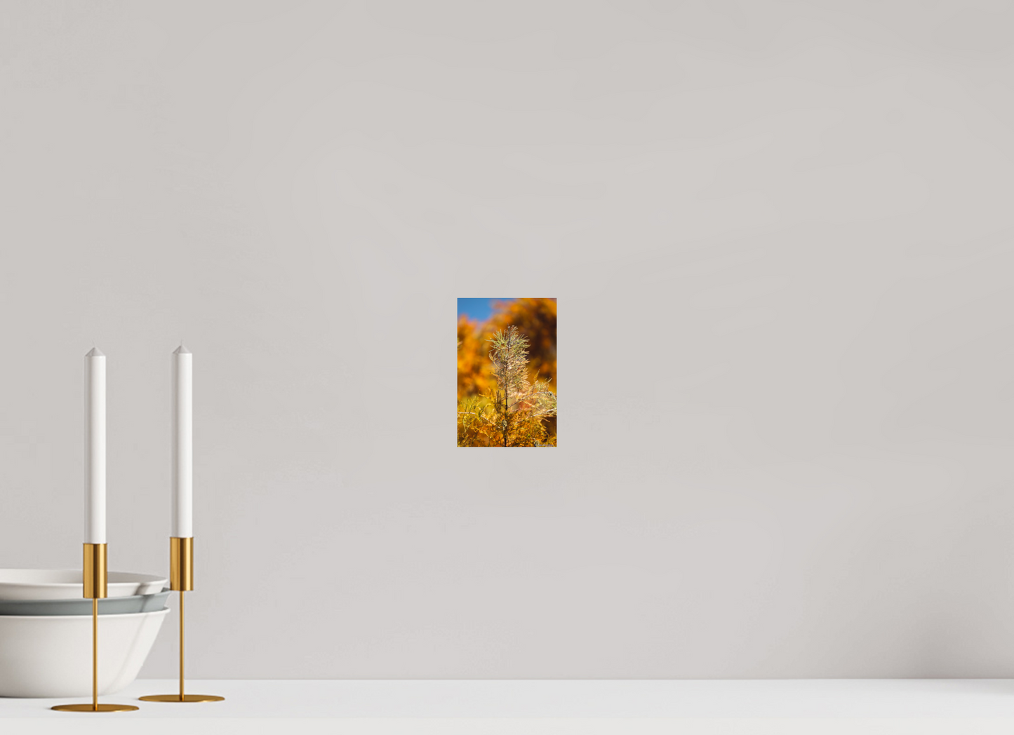Autumn Glory Nature Print on Premium Paper Available in Multiple Sizes