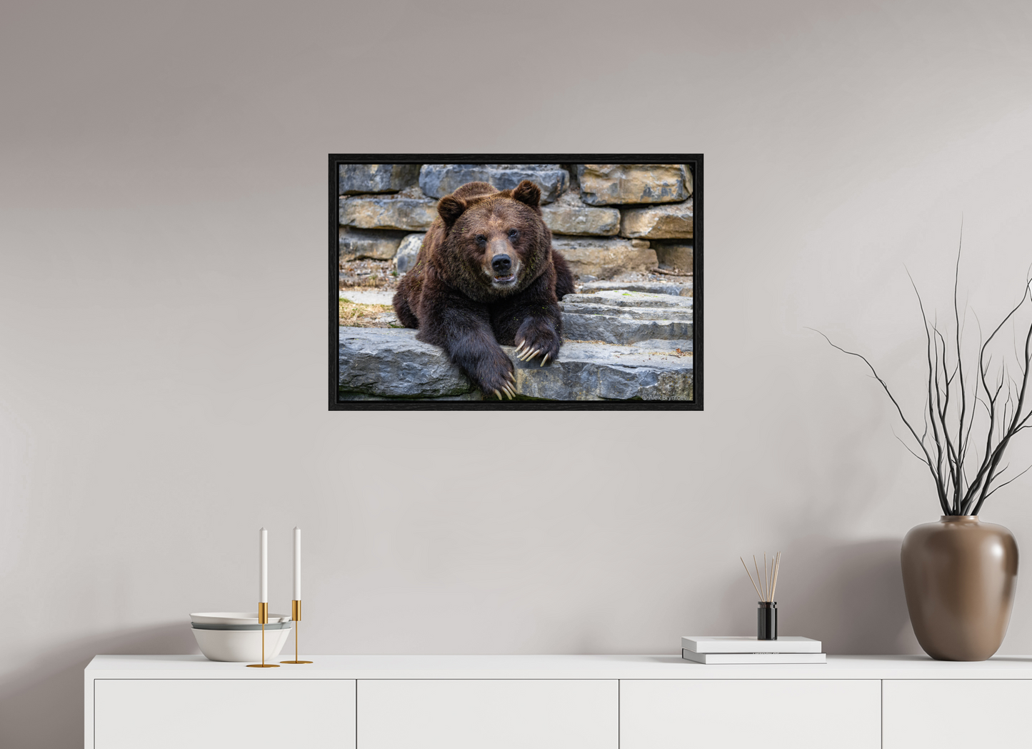 Majestic Bear Art Print Rustic Wildlife Photography Wall Decor