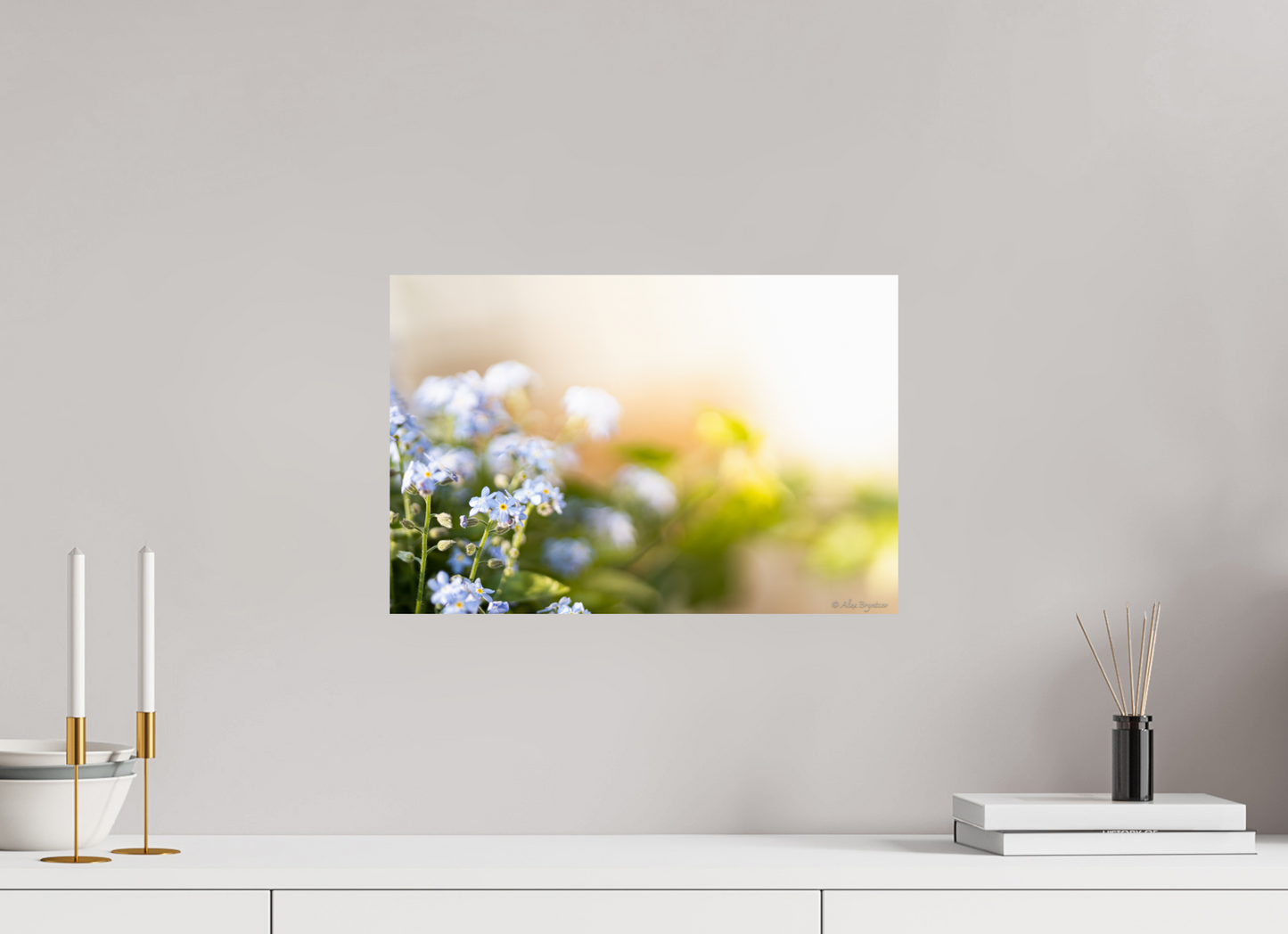 Forget Me Not Flower Print Soft Pastel Floral Wall Art Nature Home Decor
