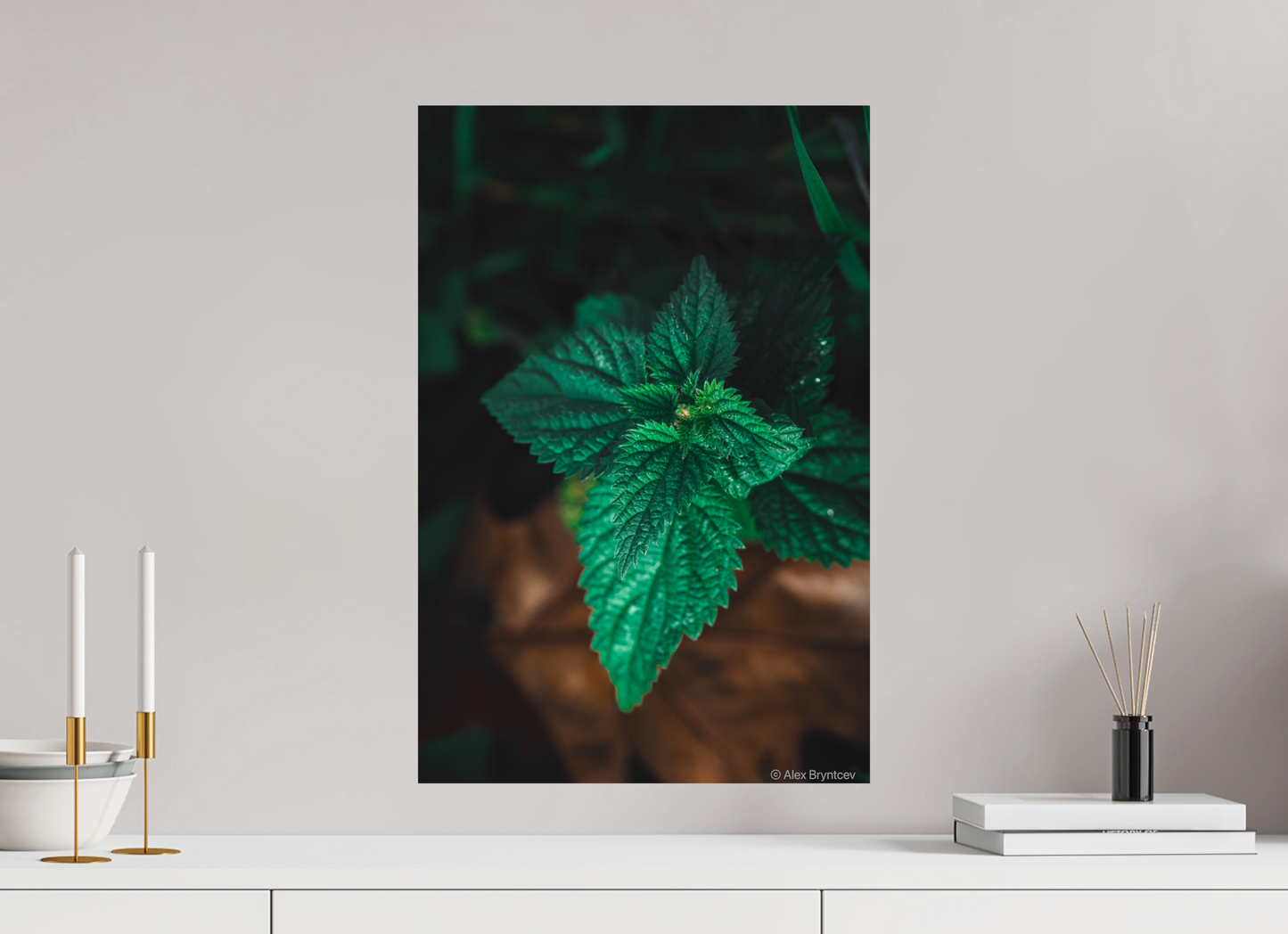 Captivating Green Leaf Print Nature Inspired Wall Art on Premium Paper