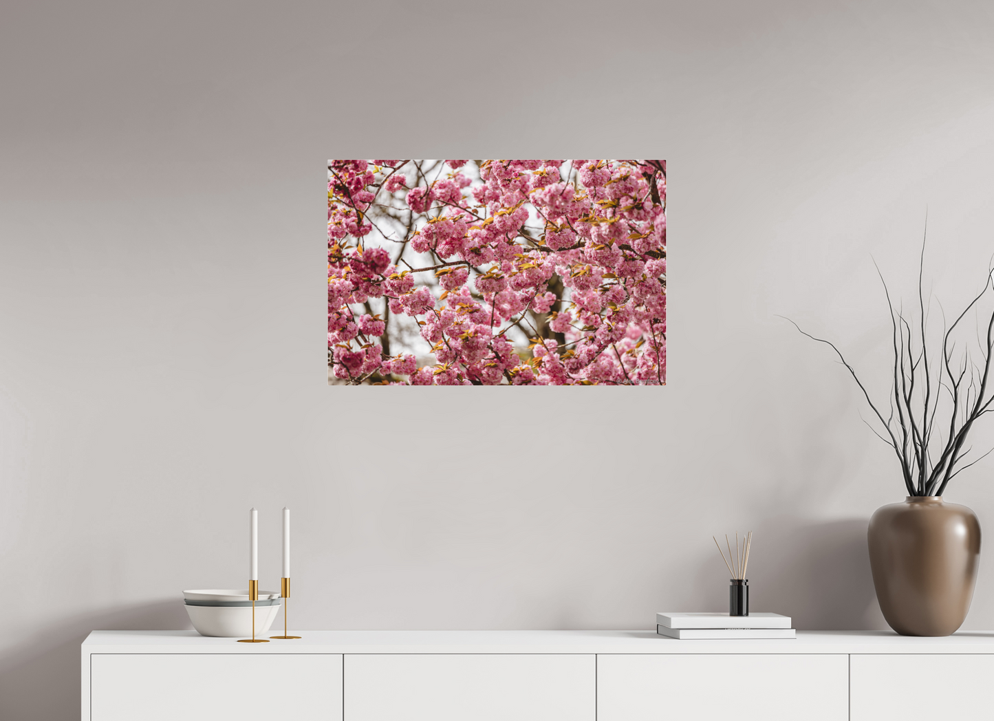 Captivating Cherry Blossom Print, Premium Art, Multiple Sizes Available