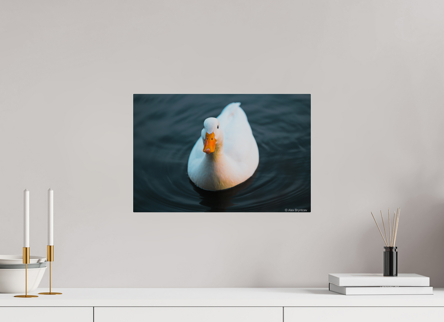 Graceful White Duck Print Wall Art – Nature Photography on Premium Paper