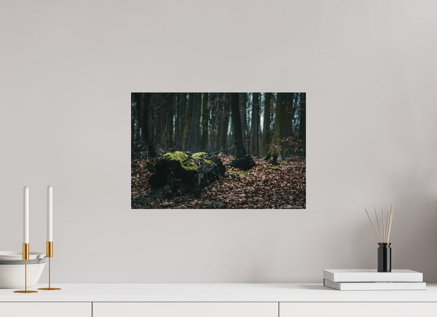 Enchanting Forest Floor Print Woodland Photography Art Wall Decor