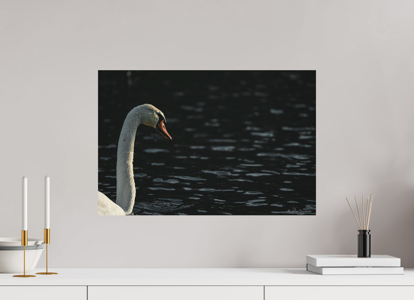 Elegant Swan Lake Art Print on Premium Paper Multiple Sizes Available