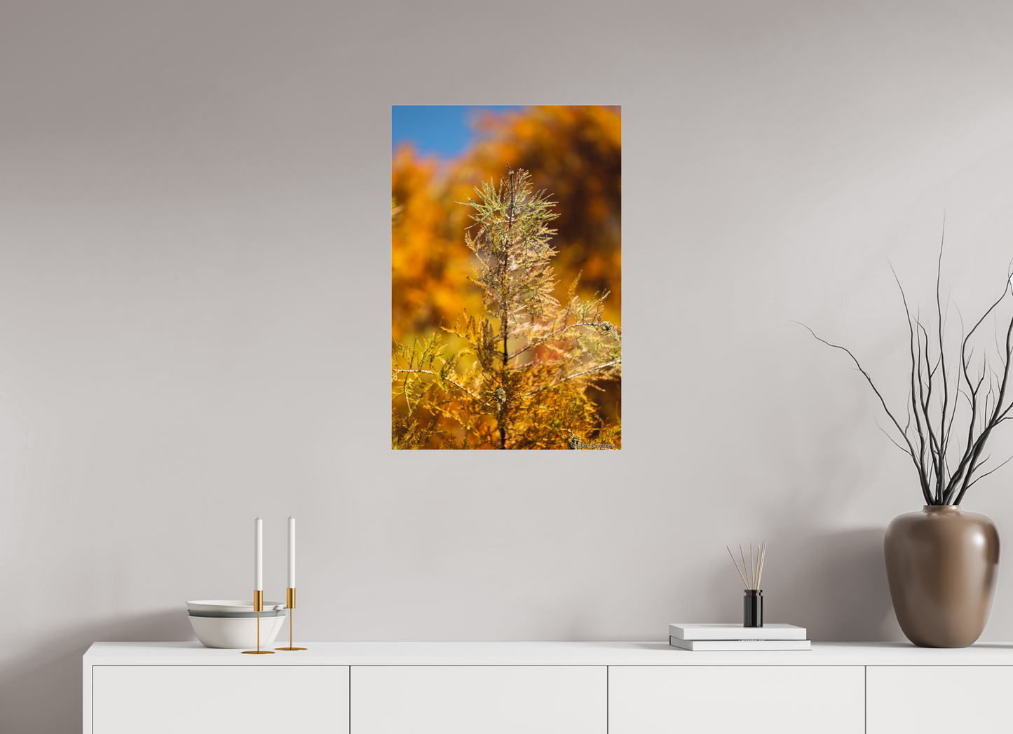 Autumn Glory Nature Print on Premium Paper Available in Multiple Sizes