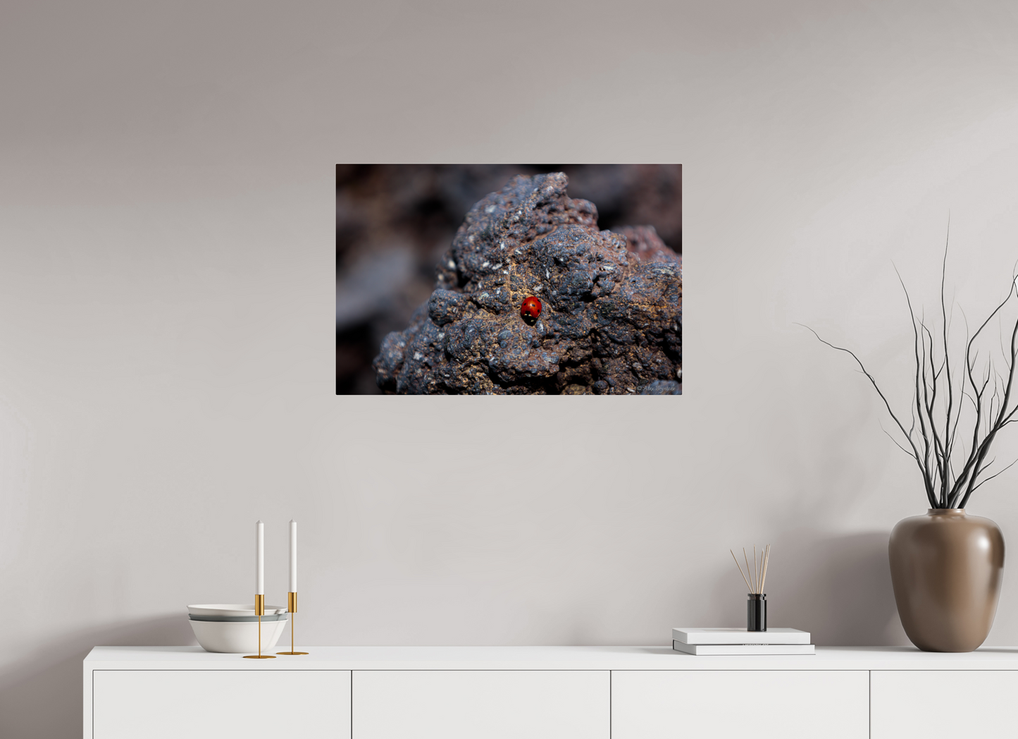 Vibrant Ladybug on Rocky Terrain Fine Art Print Multiple Sizes Available