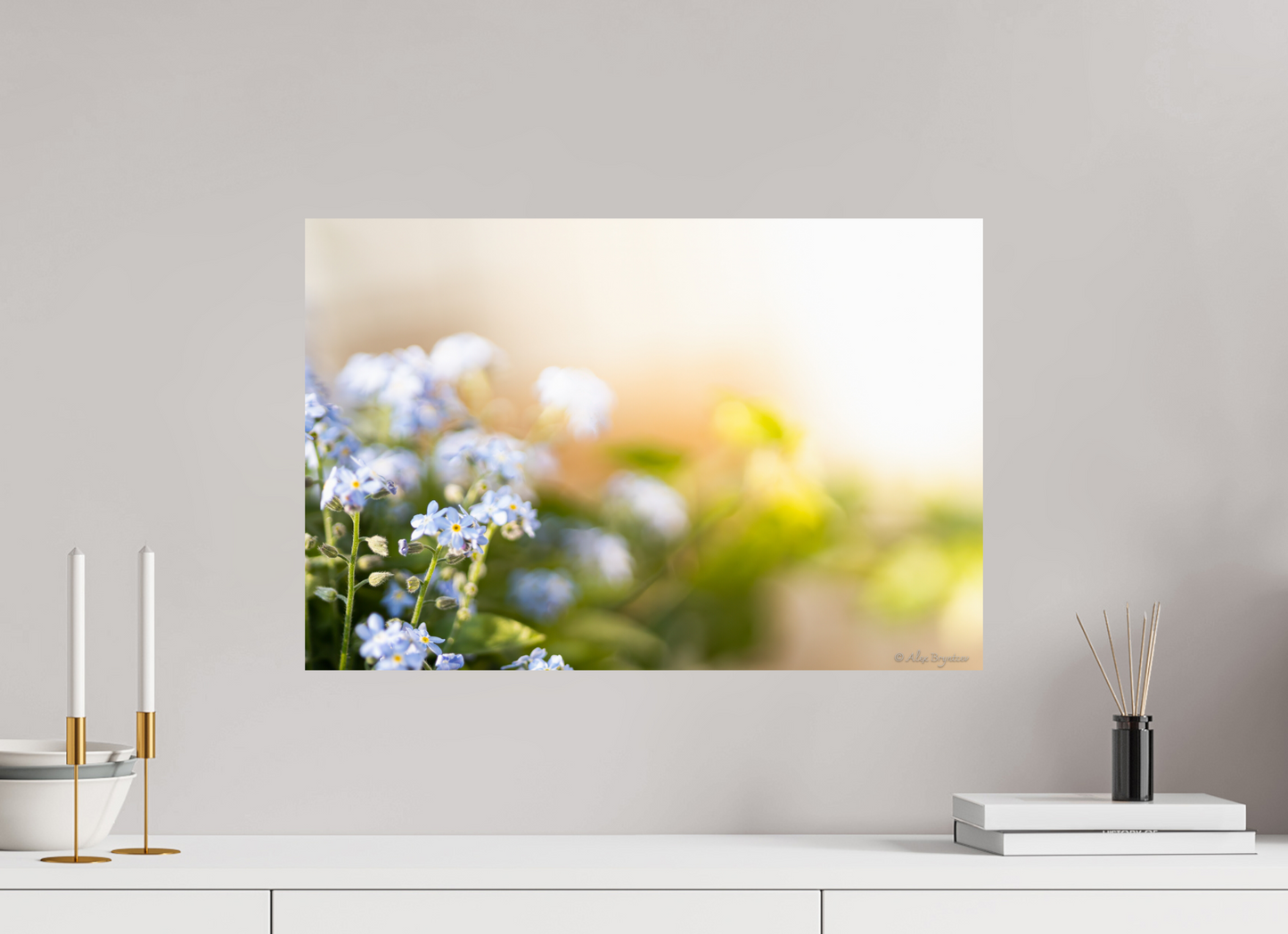 Forget Me Not Flower Print Soft Pastel Floral Wall Art Nature Home Decor