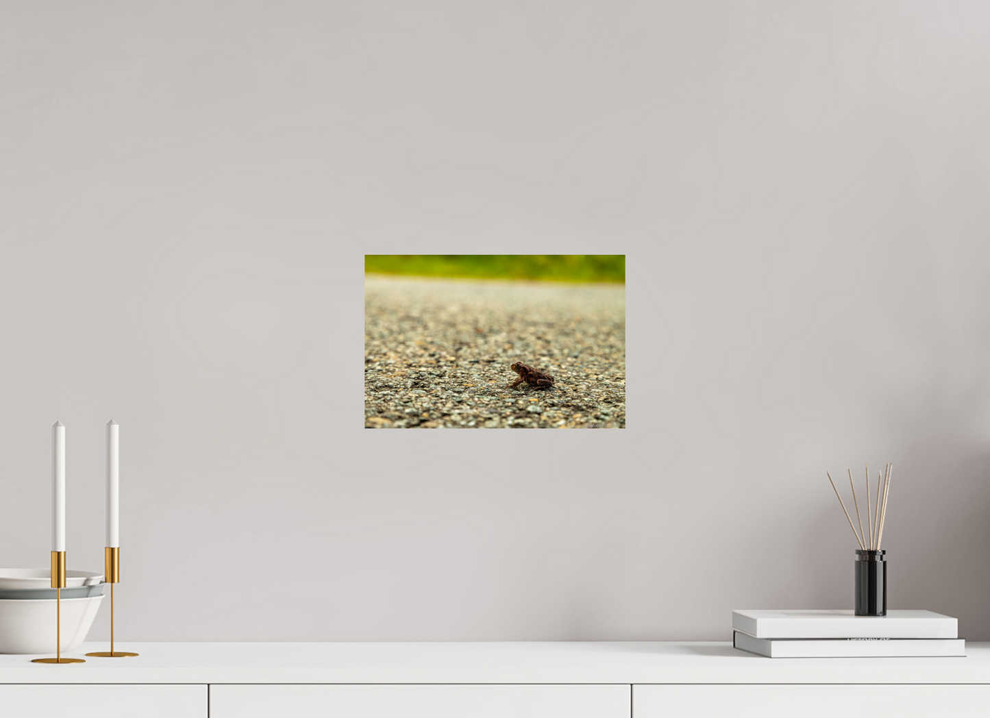 Captivating Close-Up of Tiny Frog on a Journey Fine Art Print