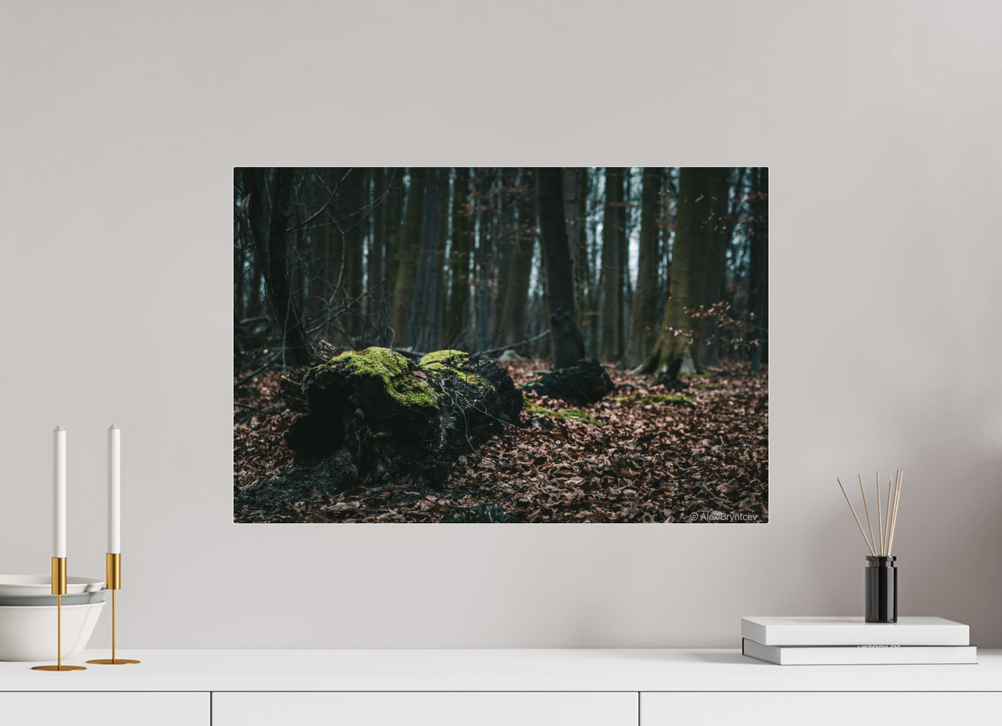 Enchanting Forest Floor Print Woodland Photography Art Wall Decor