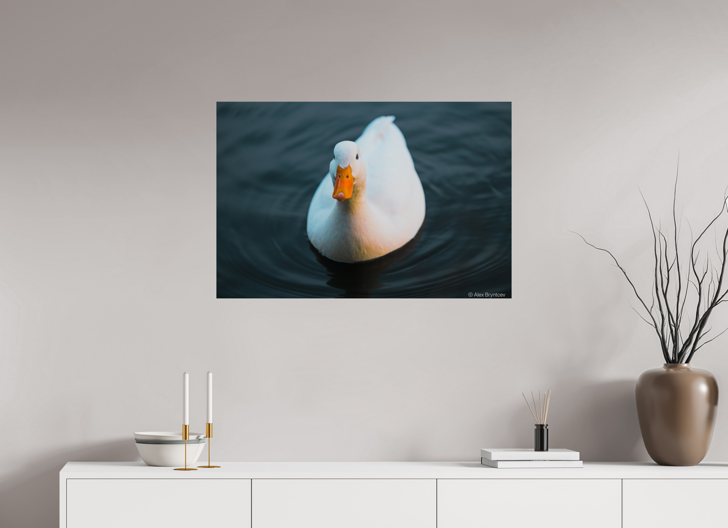 Graceful White Duck Print Wall Art – Nature Photography on Premium Paper