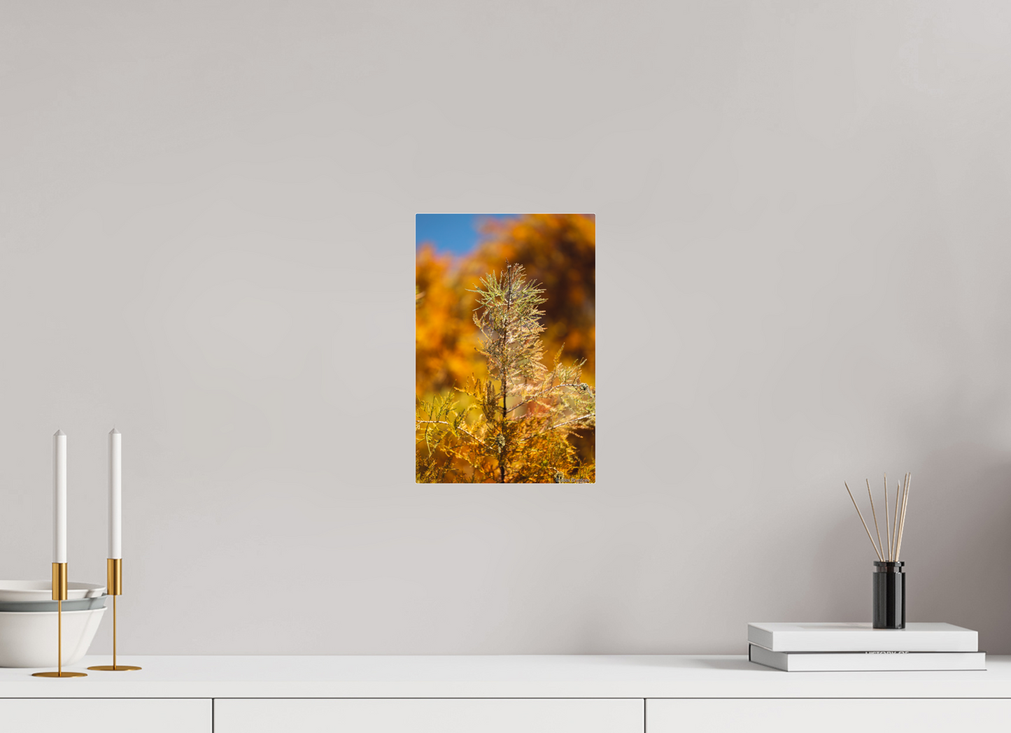 Autumn Glory Nature Print on Premium Paper Available in Multiple Sizes