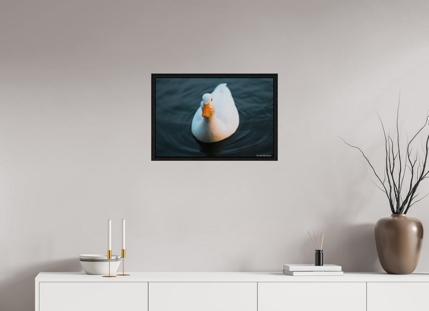 Graceful White Duck Print Wall Art – Nature Photography on Premium Paper