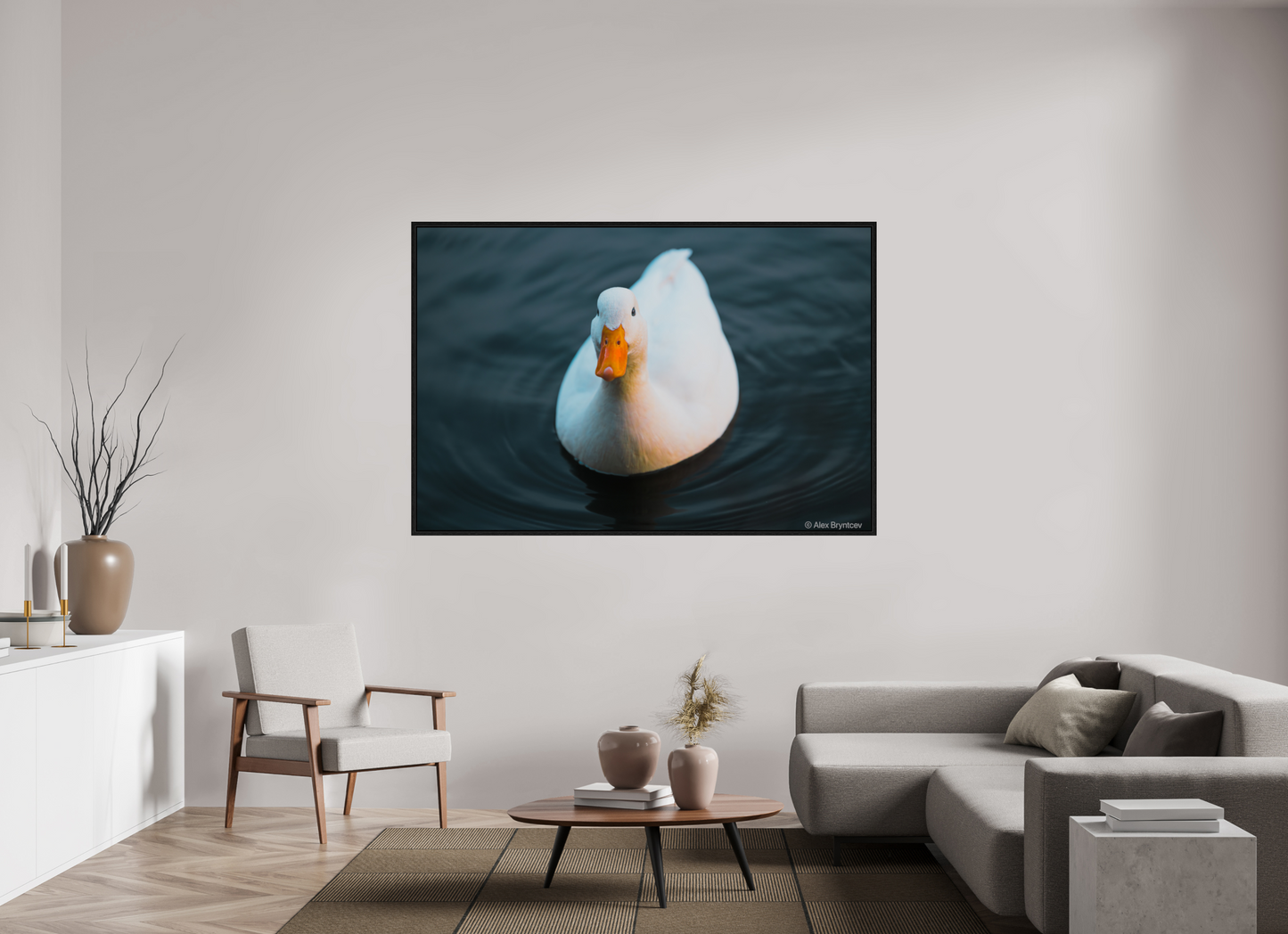 Graceful White Duck Print Wall Art – Nature Photography on Premium Paper