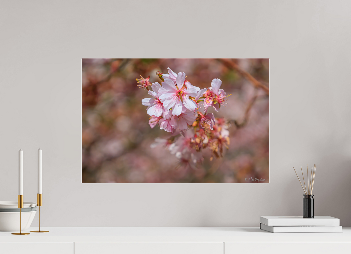 Breathtaking Cherry Blossom Art Print - Premium Quality