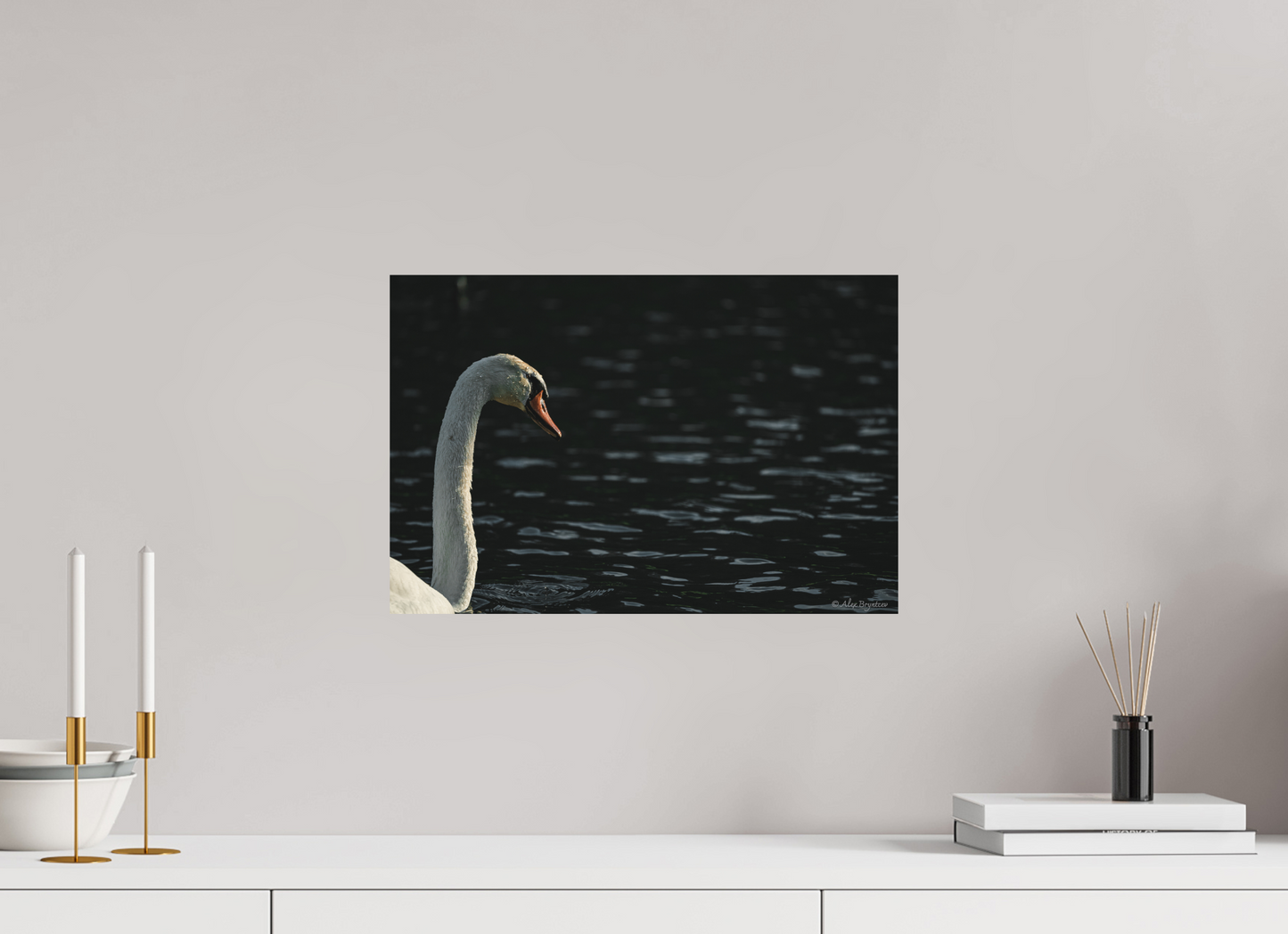 Elegant Swan Lake Art Print on Premium Paper Multiple Sizes Available