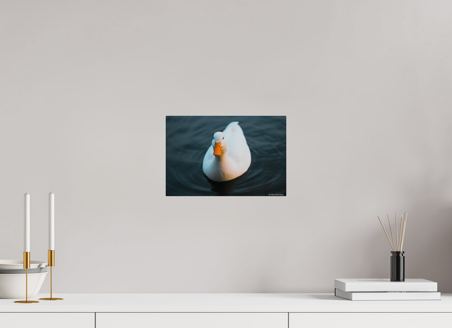 Graceful White Duck Print Wall Art – Nature Photography on Premium Paper