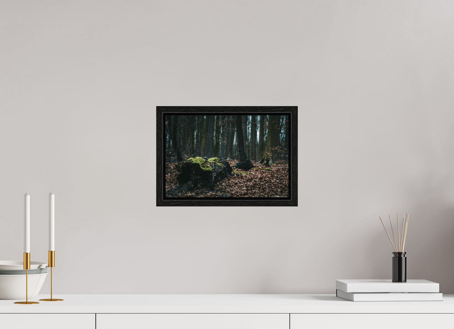 Enchanting Forest Floor Print Woodland Photography Art Wall Decor