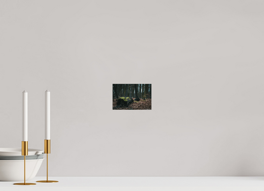 Enchanting Forest Floor Print Woodland Photography Art Wall Decor