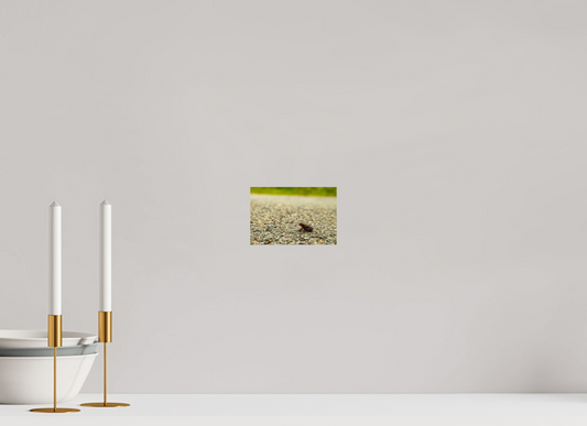 Captivating Close-Up of Tiny Frog on a Journey Fine Art Print