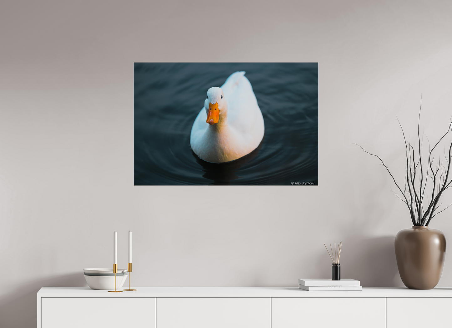 Graceful White Duck Print Wall Art – Nature Photography on Premium Paper
