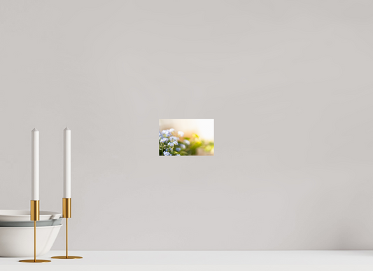 Forget Me Not Flower Print Soft Pastel Floral Wall Art Nature Home Decor