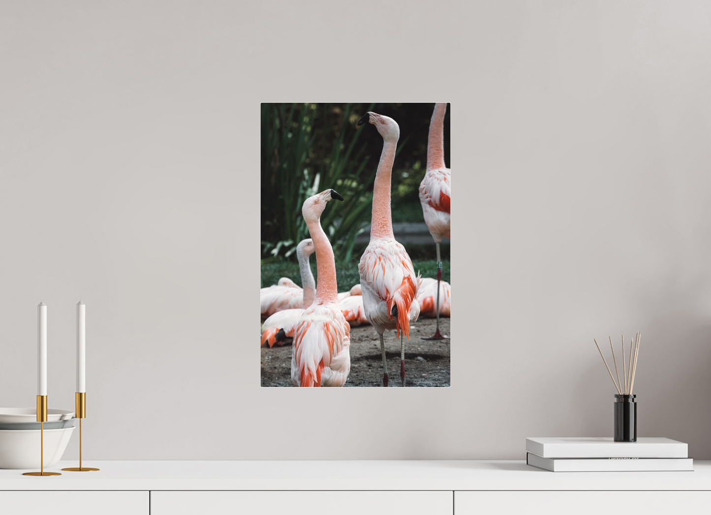 Graceful Flamingo Dance Art Print Wall Decor Vibrant Nature Photography