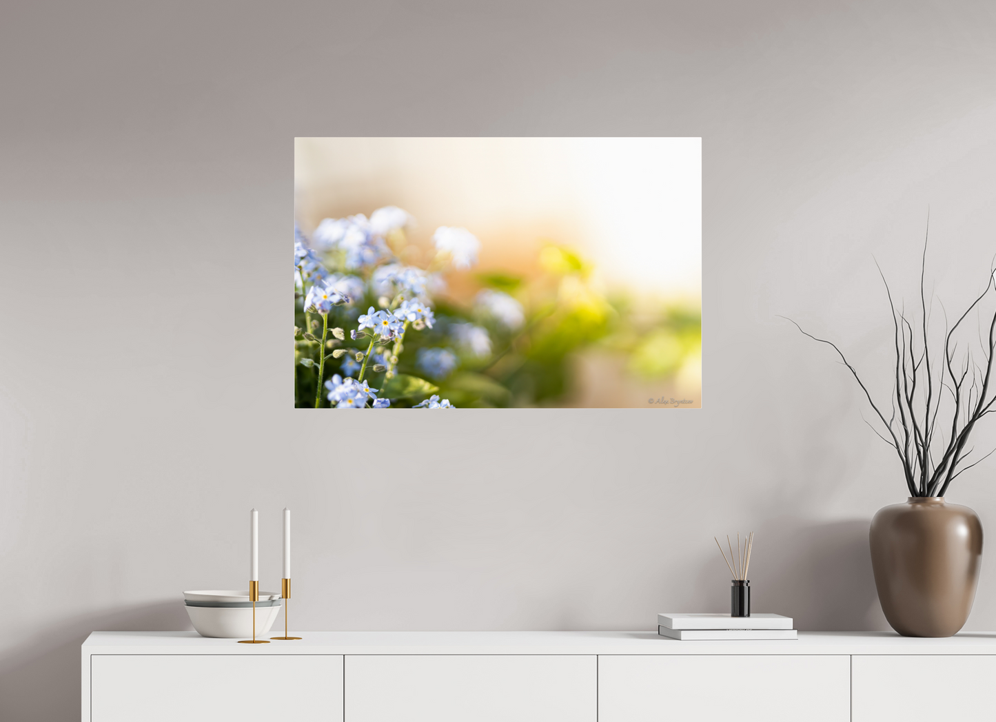 Forget Me Not Flower Print Soft Pastel Floral Wall Art Nature Home Decor