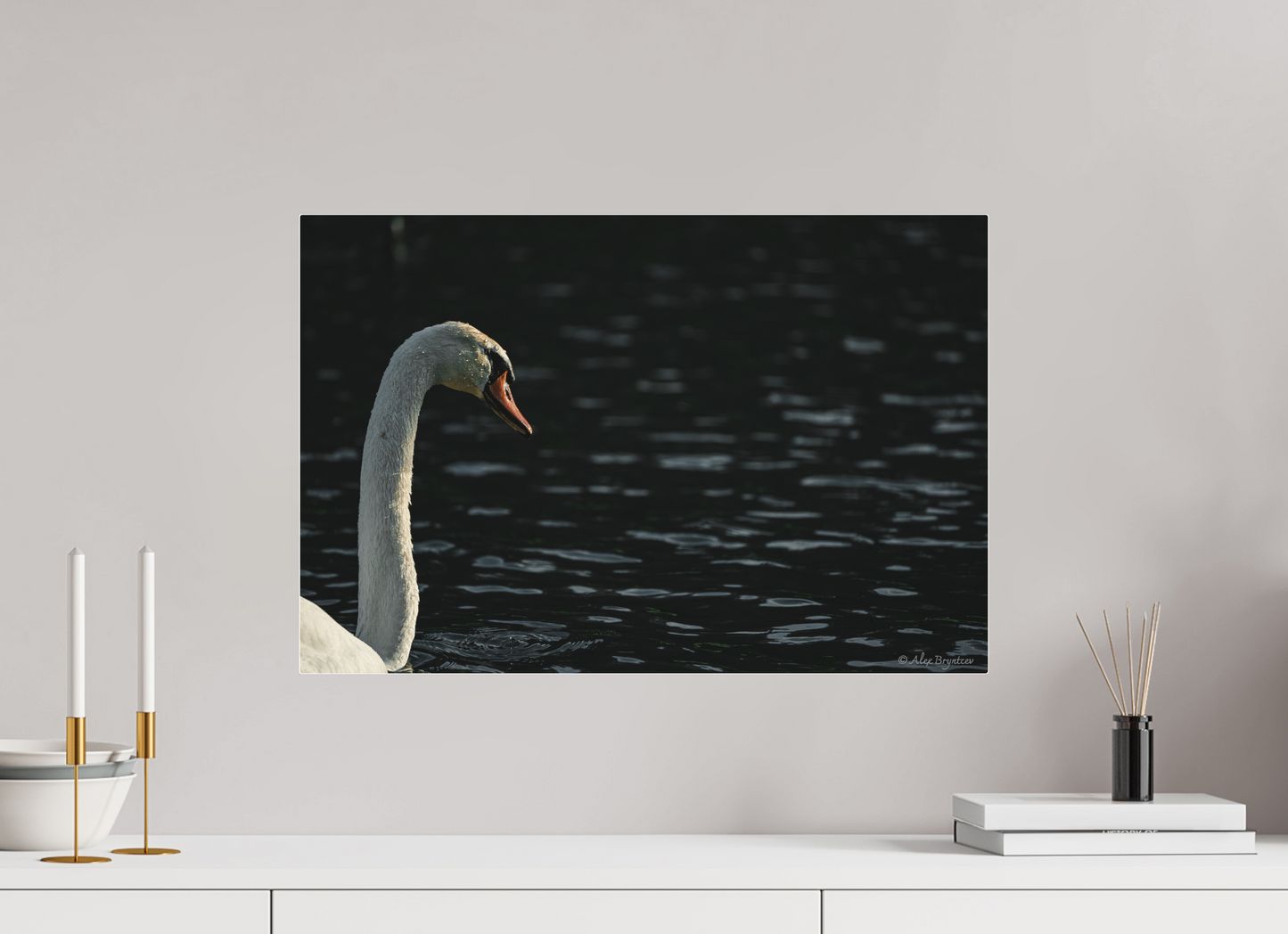Elegant Swan Lake Art Print on Premium Paper Multiple Sizes Available