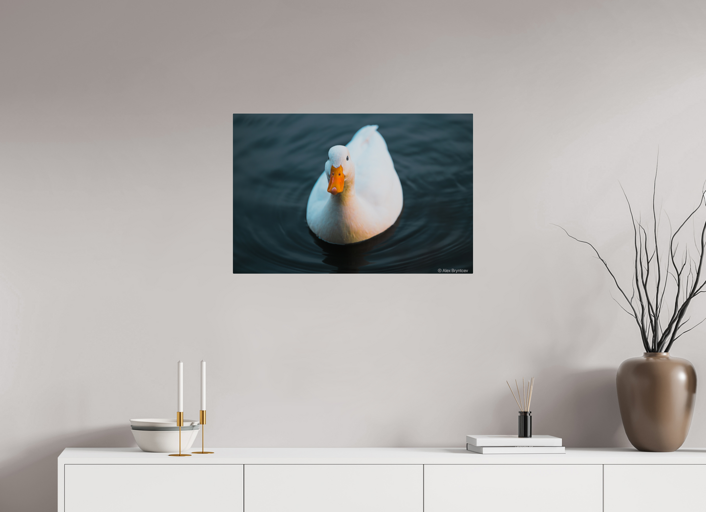 Graceful White Duck Print Wall Art – Nature Photography on Premium Paper