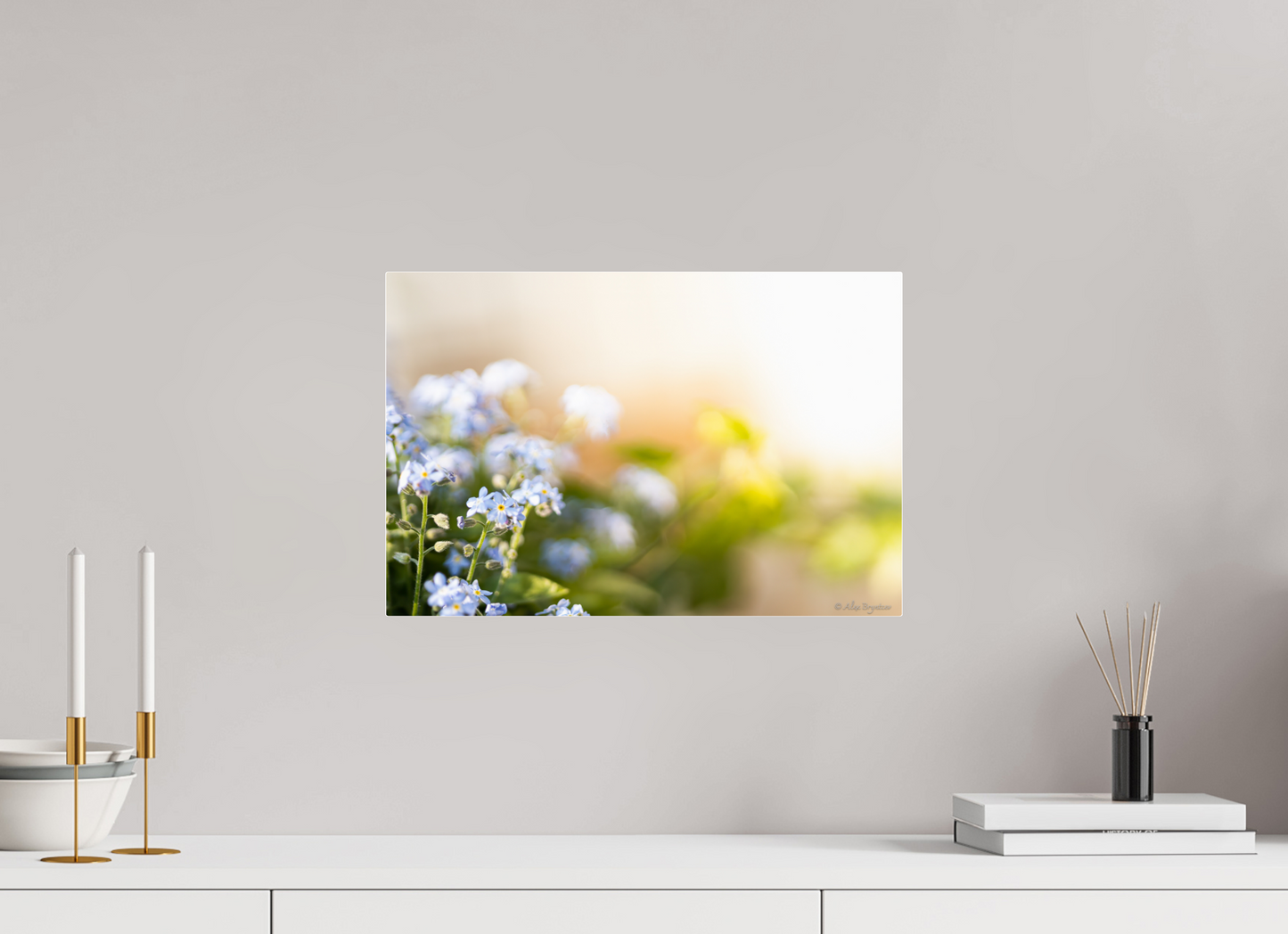 Forget Me Not Flower Print Soft Pastel Floral Wall Art Nature Home Decor