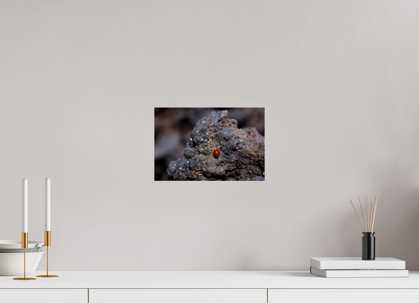 Vibrant Ladybug on Rocky Terrain Fine Art Print Multiple Sizes Available